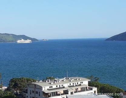 Apartments and rooms Vlaovic, , private accommodation in city Igalo, Montenegro - 20190606_175711